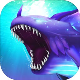 冠乐体育app